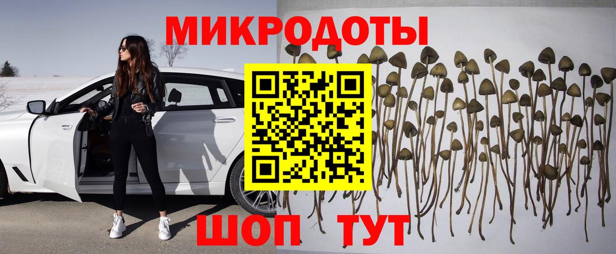 Псилоцибиновые грибы Psilocybine cubensis  Вход с VPN  Чернушка 